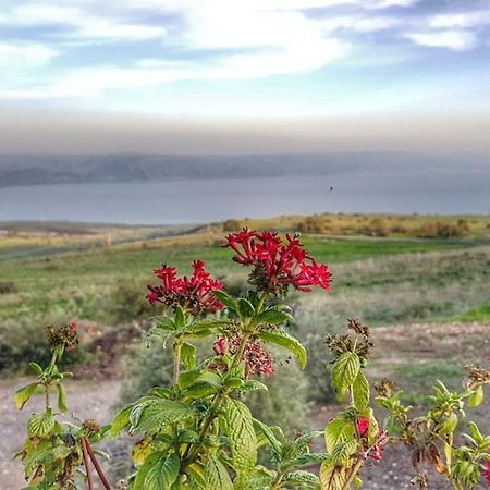Sea Of Galilee Site Διαμέρισμα Chorazim Εξωτερικό φωτογραφία