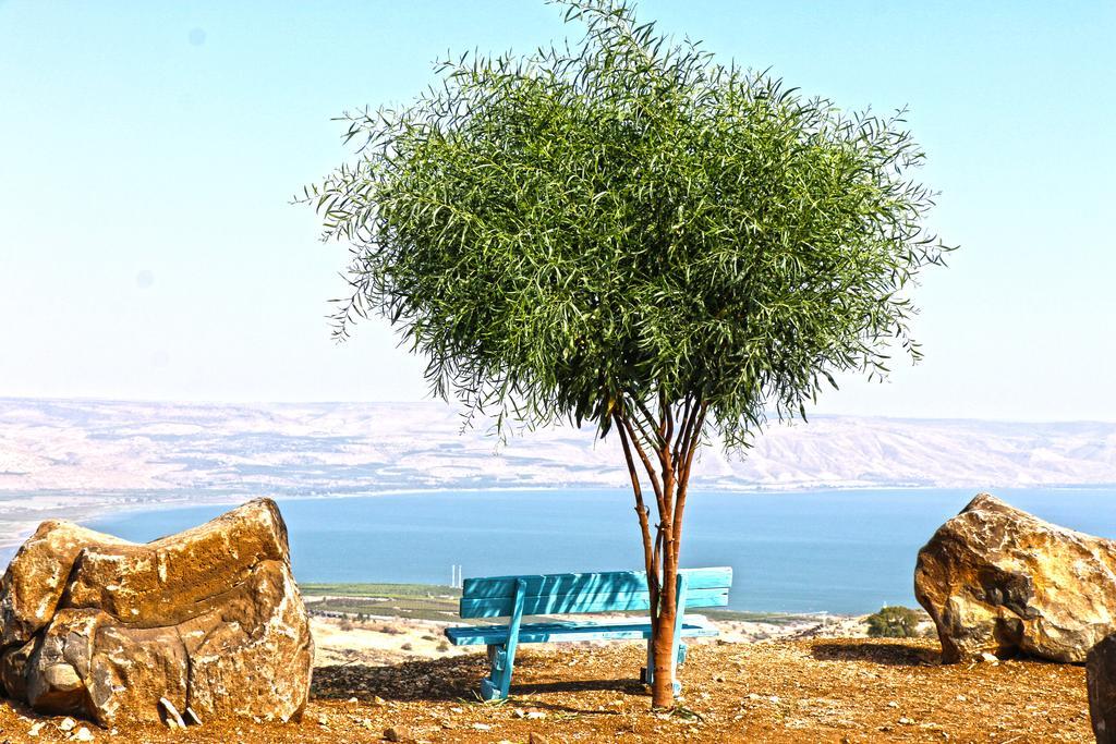 Sea Of Galilee Site Διαμέρισμα Chorazim Εξωτερικό φωτογραφία